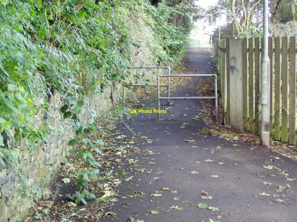 Photo 6"x4" View up Wellington Brae Aberdeen\/NJ9206 c2010
