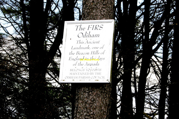 Photo 6"x4" Odiham, The Firs. North Warnborough c2005