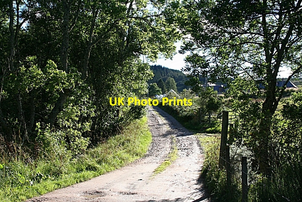 Photo 6"x4" The Track to Cornabo Pitmunie c2010