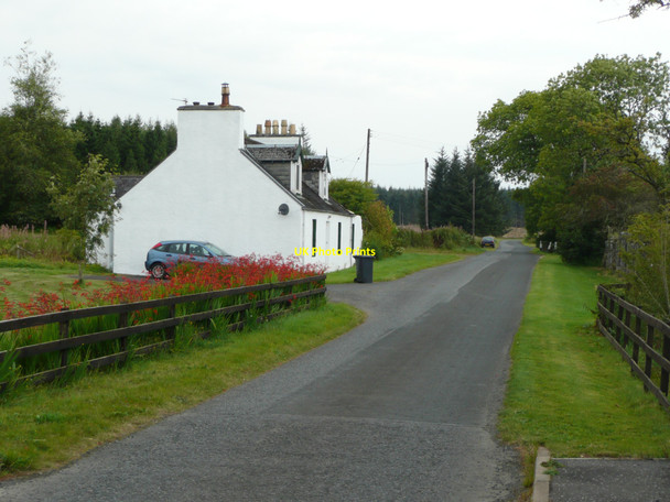 Photo 6"x4" Cottages at Knowe Knowe\/NX3171 c2010