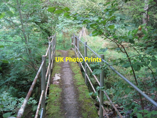 Photo 6"x4" Footbridge over Wellhope Burn Ouston\/NY7752 c2010