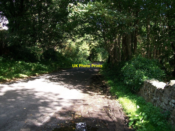 Photo 6"x4" The Ardilea Road Clough\/J4040 c2010