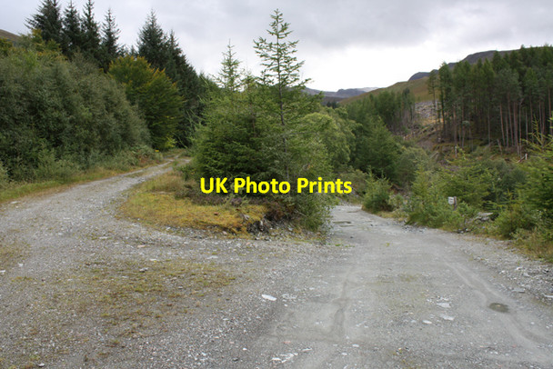 Photo 6"x4" Junction near Croit a' Mhuilleir Coille L\u00e8anachain c2010