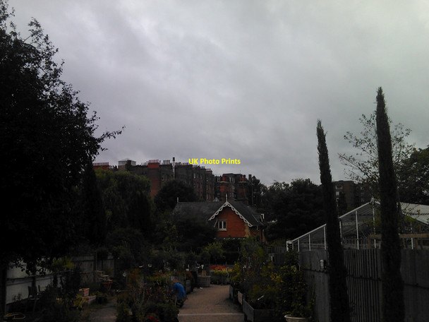 Photo 6"x4" View of the backs of houses on Abbotsbury Road #2 Kensington\/TQ2579 c2010