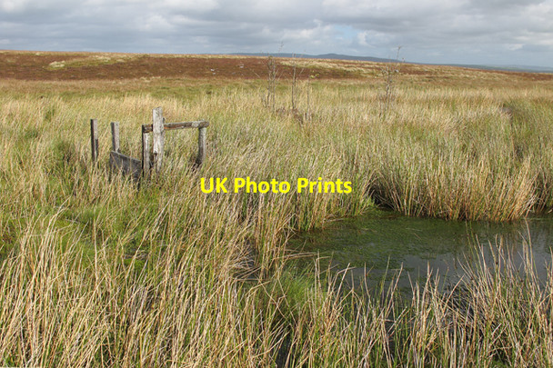 Photo 6"x4" Reedy tarn near Resting Stone Black Hill\/SD7561 c2010