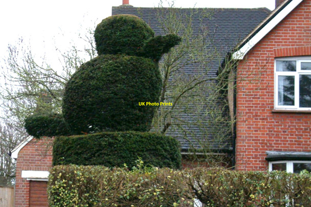 Photo 6"x4" Old Windsor - Topiary Egham c2005