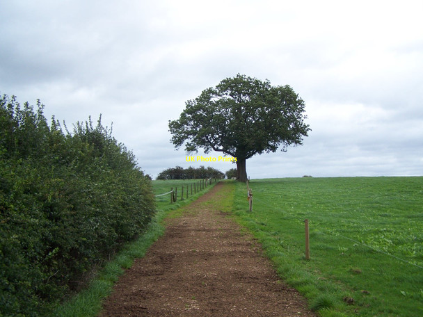 Photo 6"x4" Footpath From Marston Marston\/SJ9227 c2010