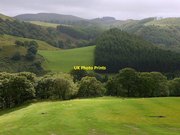 Photo 6"x4" Fields by the Afon Ystwyth Cwmystwyth c2010