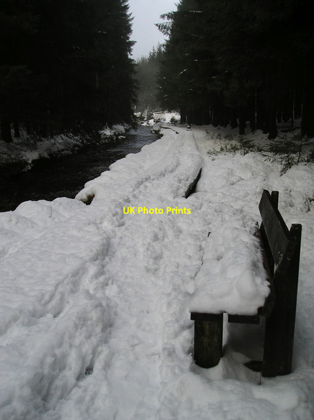 Photo 6"x4" Boardwalk under snow Tynyrwtra\/SN8885 c2007