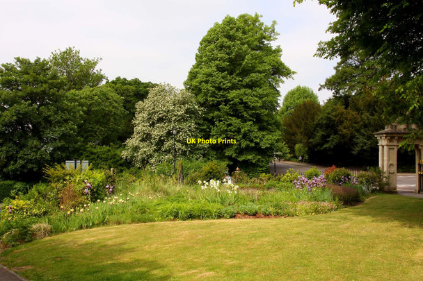 Photo 6"x4" Flowerbed in Royal Victoria Park Bath\/ST7464 c2010