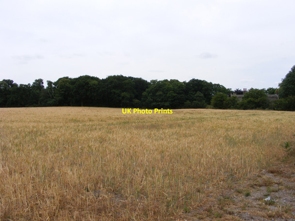 Photo 6"x4" Field near Flixton Decoy Camps Heath c2010