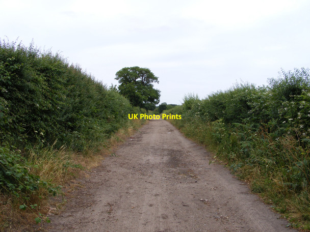 Photo 6"x4" The Angles Way towards Decoy Farm Camps Heath c2010
