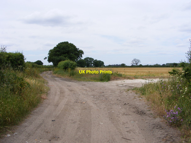 Photo 6"x4" The Angles Way towards Somerleyton Blundeston c2010