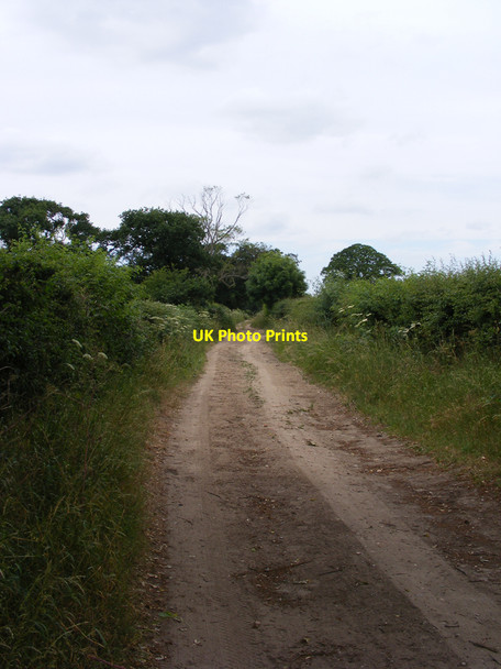 Photo 6"x4" The Angles Way Blundeston c2010