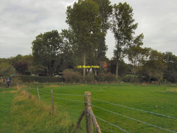 Photo 6"x4" Field near Swan Wood South Chailey c2010