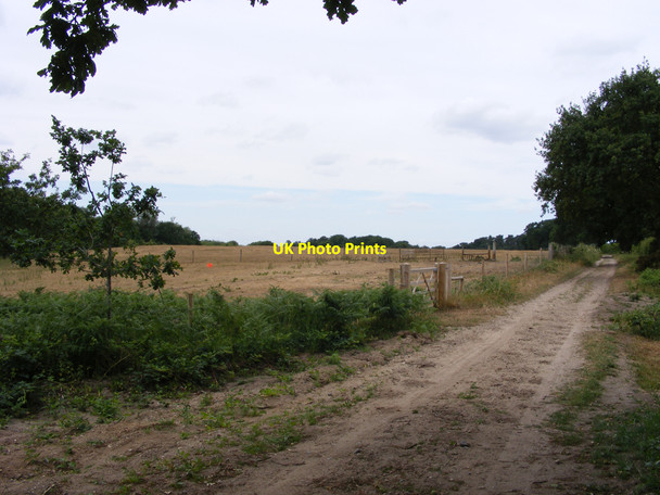 Photo 6"x4" Heathland beside the Angles Way Herringfleet c2010