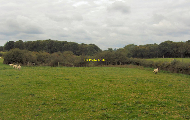 Photo 6"x4" Broomfield Farm South Chailey c2010