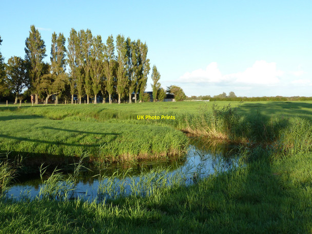 Photo 6"x4" Reen (drainage channel) opposite track near Elm Tree Farm, Goldcliff Gold Cliff c2010