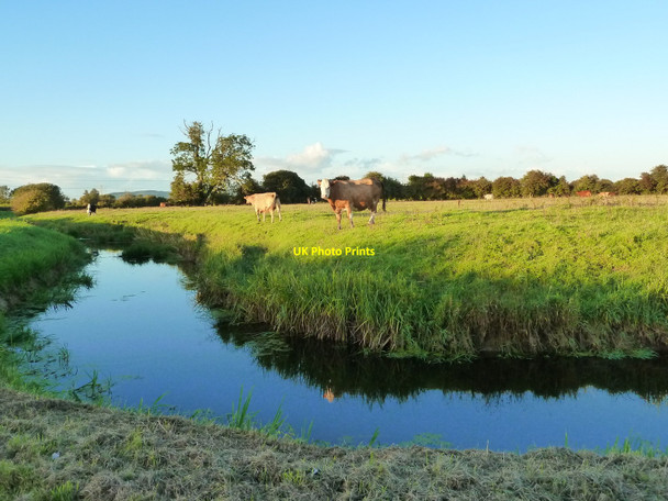 Photo 6"x4" Reen, Chapel Road, Goldcliff Goldcliff c2010