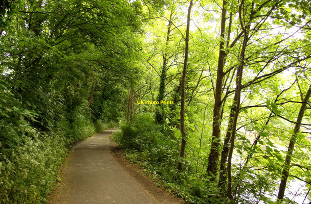 Photo 6"x4" Cycleway by the River Avon Bath\/ST7464 c2010