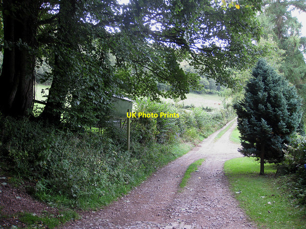 Photo 6"x4" Public footpath to Hom Grove Farm Lane End\/SO6419 c2010