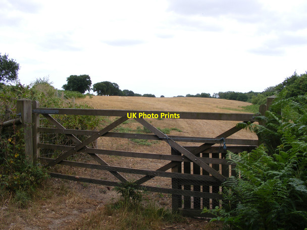Photo 6"x4" Field gateway near the Angles Way Herringfleet c2010