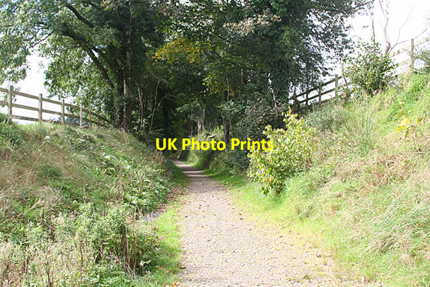 Photo 6"x4" Gulworthy: shallow cutting Gulworthy c2010