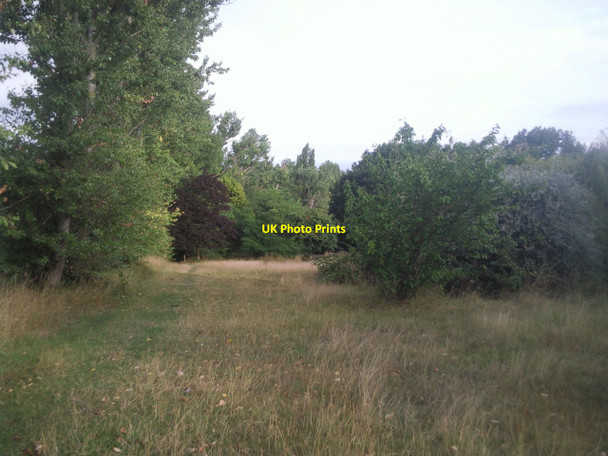 Photo 6"x4" At the top of Chinbrook Meadows Bromley\/TQ4069 c2010