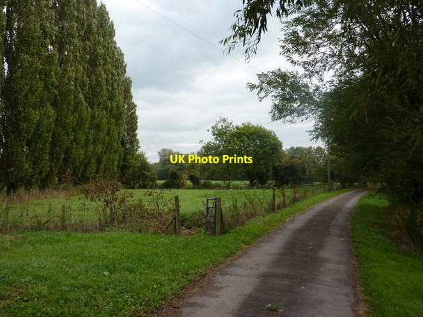 Photo 6"x4" Track near Grassthorpe Grassthorpe c2010