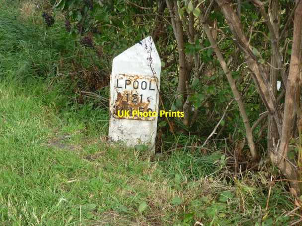 Photo 6"x4" Walking along the Leeds to Liverpool Canal #79 Horsforth c2010