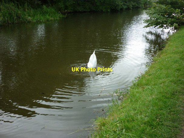 Photo 6"x4" Walking along the Leeds to Liverpool Canal #140 Baildon c2010