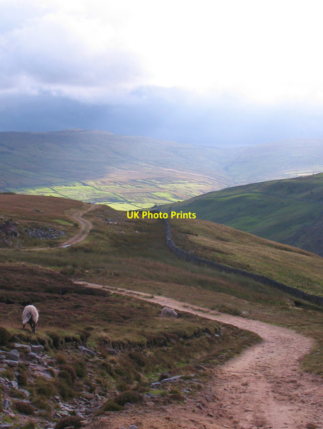 Photo 6"x4" Land Rover track on Ivelet Moor Muker c2010