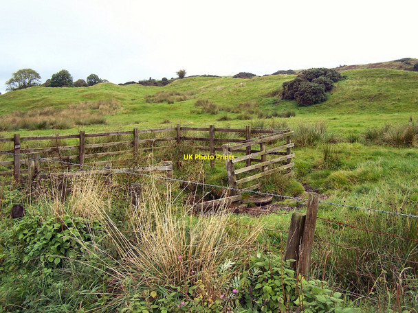 Photo 6"x4" Watering hole- natural water trough Whinnieliggate c2010