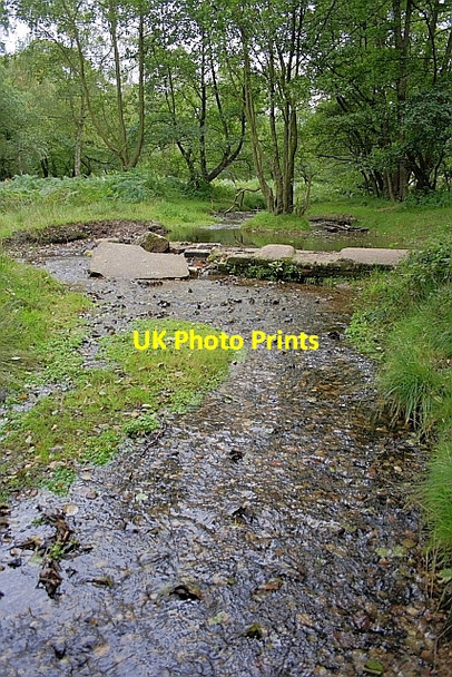 Photo 6"x4" Sher Brook Brocton\/SJ9619 c2010