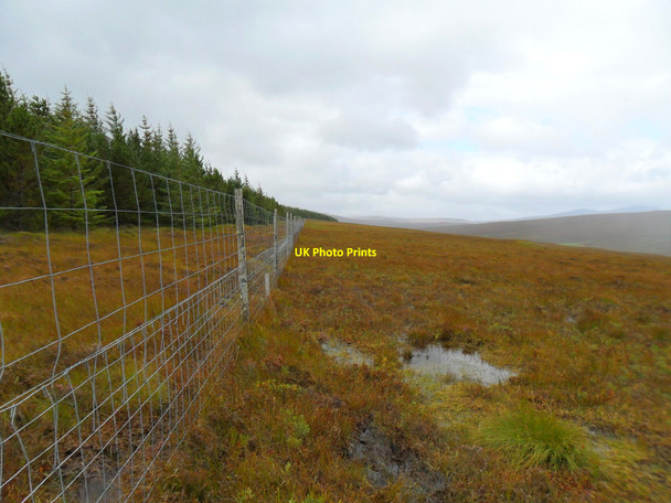 Photo 6"x4" Forestry fence Loch nam Breac Buidhe\/NC6143 c2010