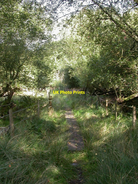 Photo 6"x4" Linwood, boardwalk Linwood\/SU1809 c2010
