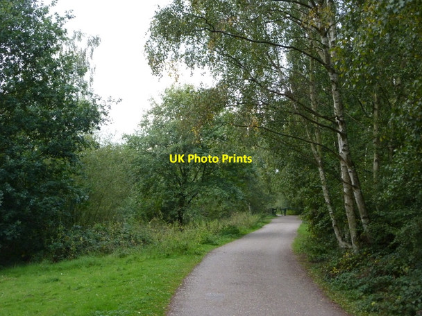 Photo 6"x4" Track back to the car-park at Daneshill Lakes Torworth c2010