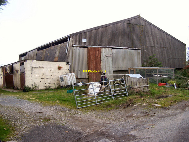 Photo 6"x4" Tongue of Bombie Whinnieliggate c2010