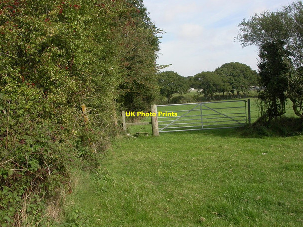 Photo 6"x4" Tiptoe, stile Golden Hill\/SZ2695 c2010