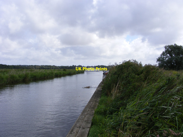 Photo 6"x4" Rockland Short Dike meets the River Yare Buckenham c2010