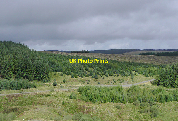 Photo 6"x4" Forestry plantations on Esgair Gerwyn, Ceredigion Nant y Gerwyn c2010
