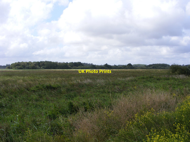 Photo 6"x4" The view across Rockland Marsh from the Wherryman's Way Claxton\/TG3303 c2010
