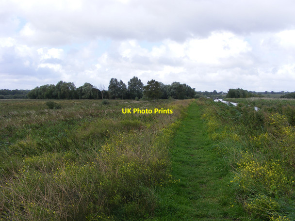 Photo 6"x4" The Wherryman's Way at Rockland Short Dike Buckenham c2010