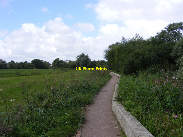 Photo 6"x4" The Wherryman's Way and Rockland Marsh Claxton\/TG3303 c2010