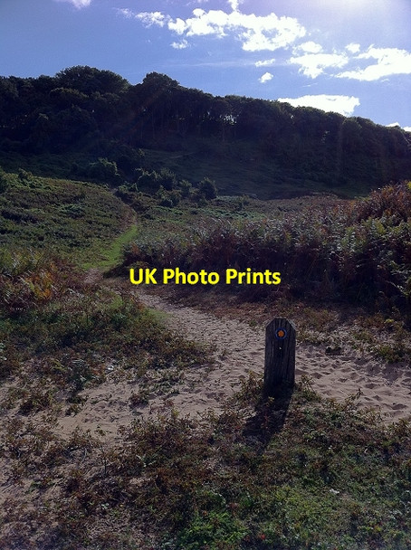 Photo 6"x4" Climb up Hills Tor Llanmadoc\/SS4493 c2010