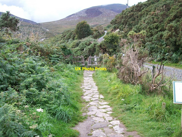 Photo 6"x4" The Bloody Bridge River path and track viewed from the A2 Newcastle\/J3732 c2010