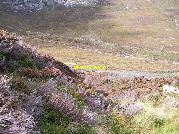 Photo 6"x4" Second disused incline from the Carr's Face Quarry Newcastle\/J3732 c2010