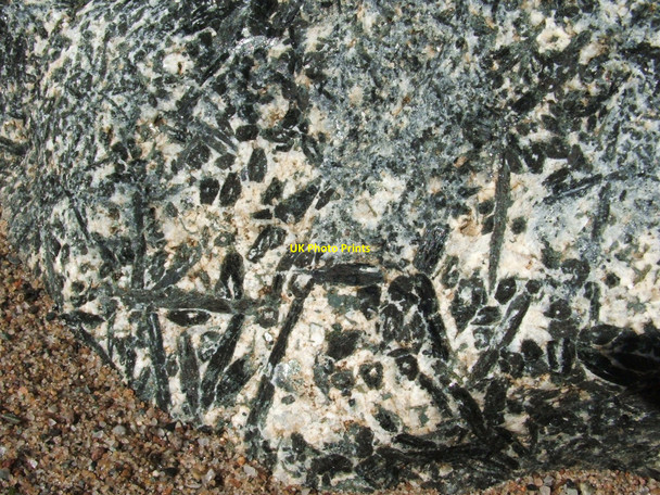 Photo 6"x4" Rock with prominent hornblende crystals Helensburgh c2010
