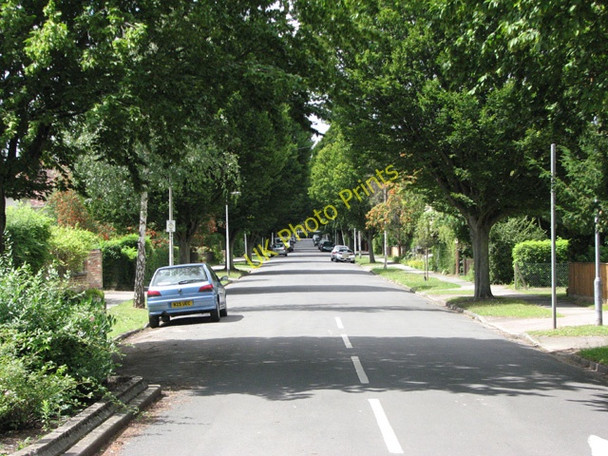 Photo 6"x4" Cavendish Avenue: leafy suburb Cambridge\/TL4658 c2009