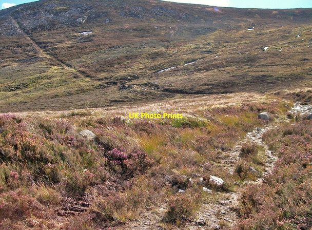 Photo 6"x4" The western incline of Carr's Face Quarry Newcastle\/J3732 c2010
